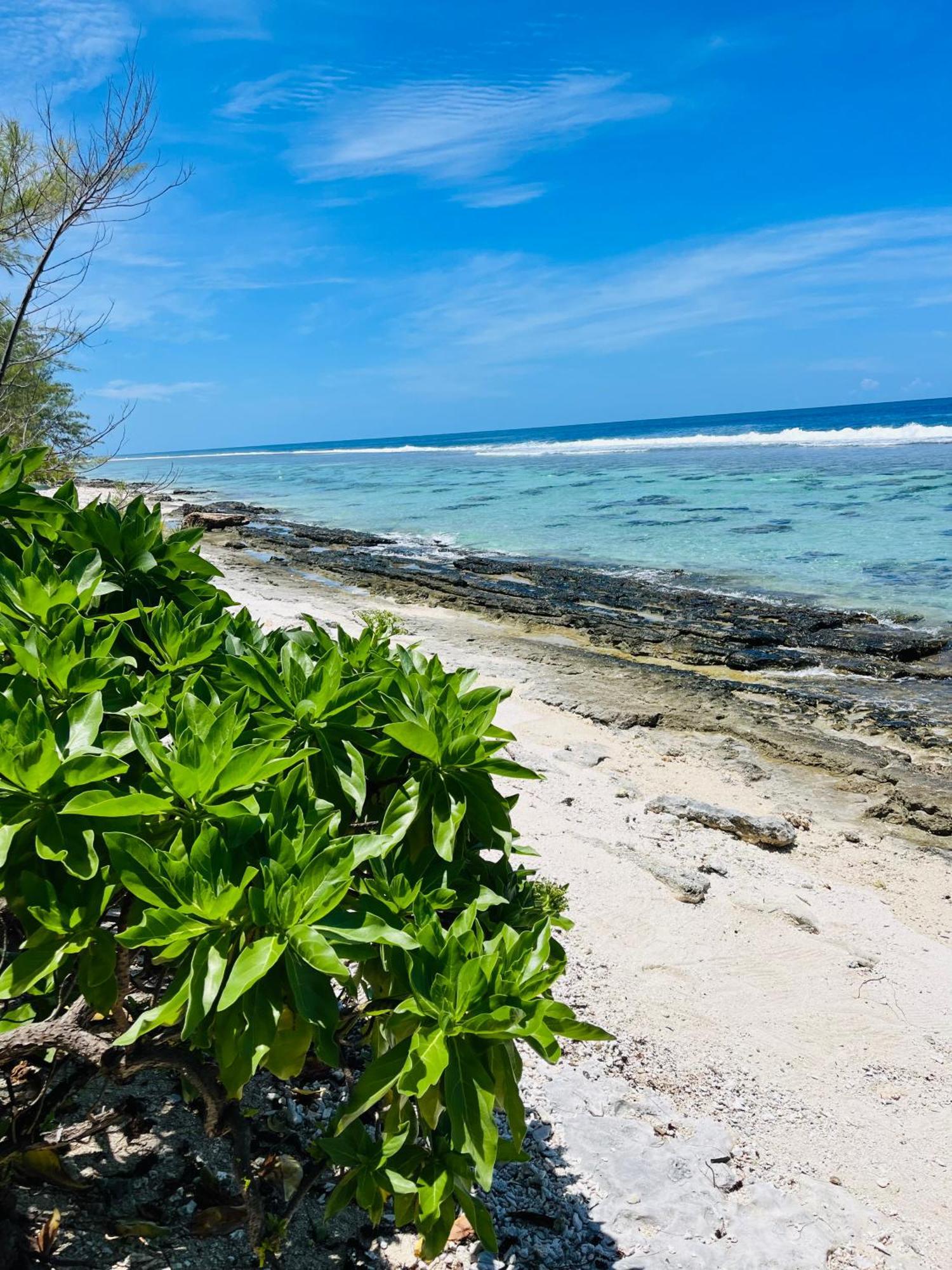 Bungalow Kura Moorea Exterior foto